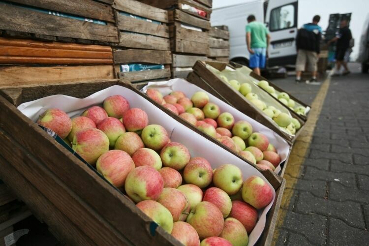 Реэкспорт овощей и фруктов через ЕС могут запретить