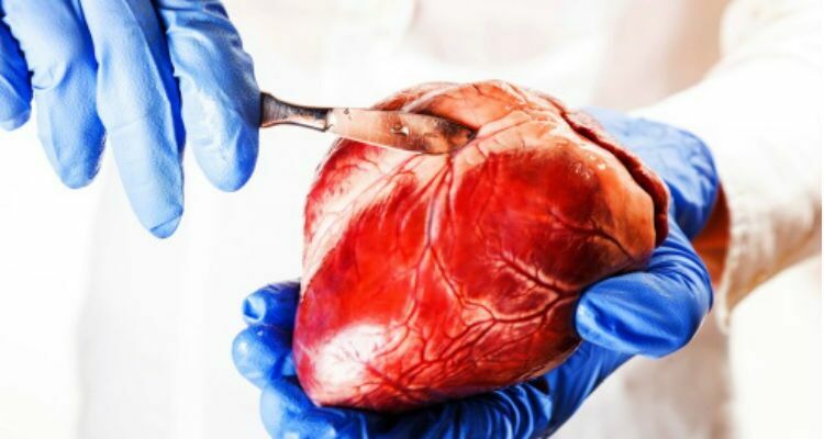 Обнародован проект ФЗ «О донорстве органов человека и их трансплантации»