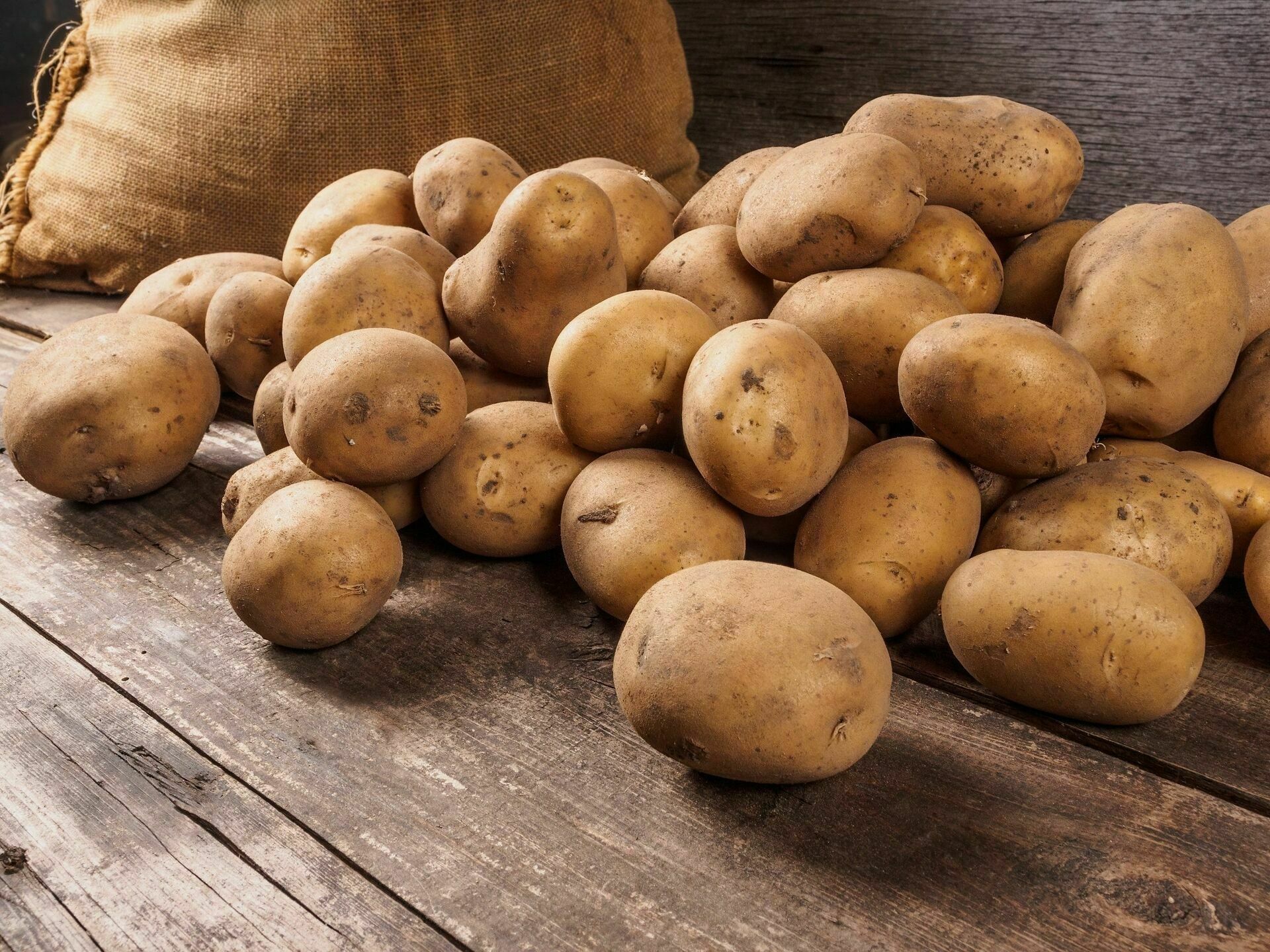 Производители опасаются дефицита картофеля в 2022 году
