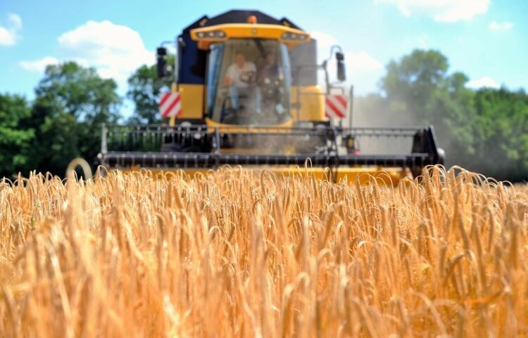 Россия установила новый рекорд по экспорту зерна