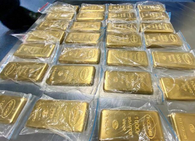 Во Внуково задержали перевозчиков с 225 кг золотых слитков на 800 млн рублей
