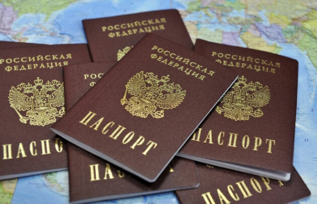 "Пришли от Володина": отозван законопроект о лишении гражданства за террор