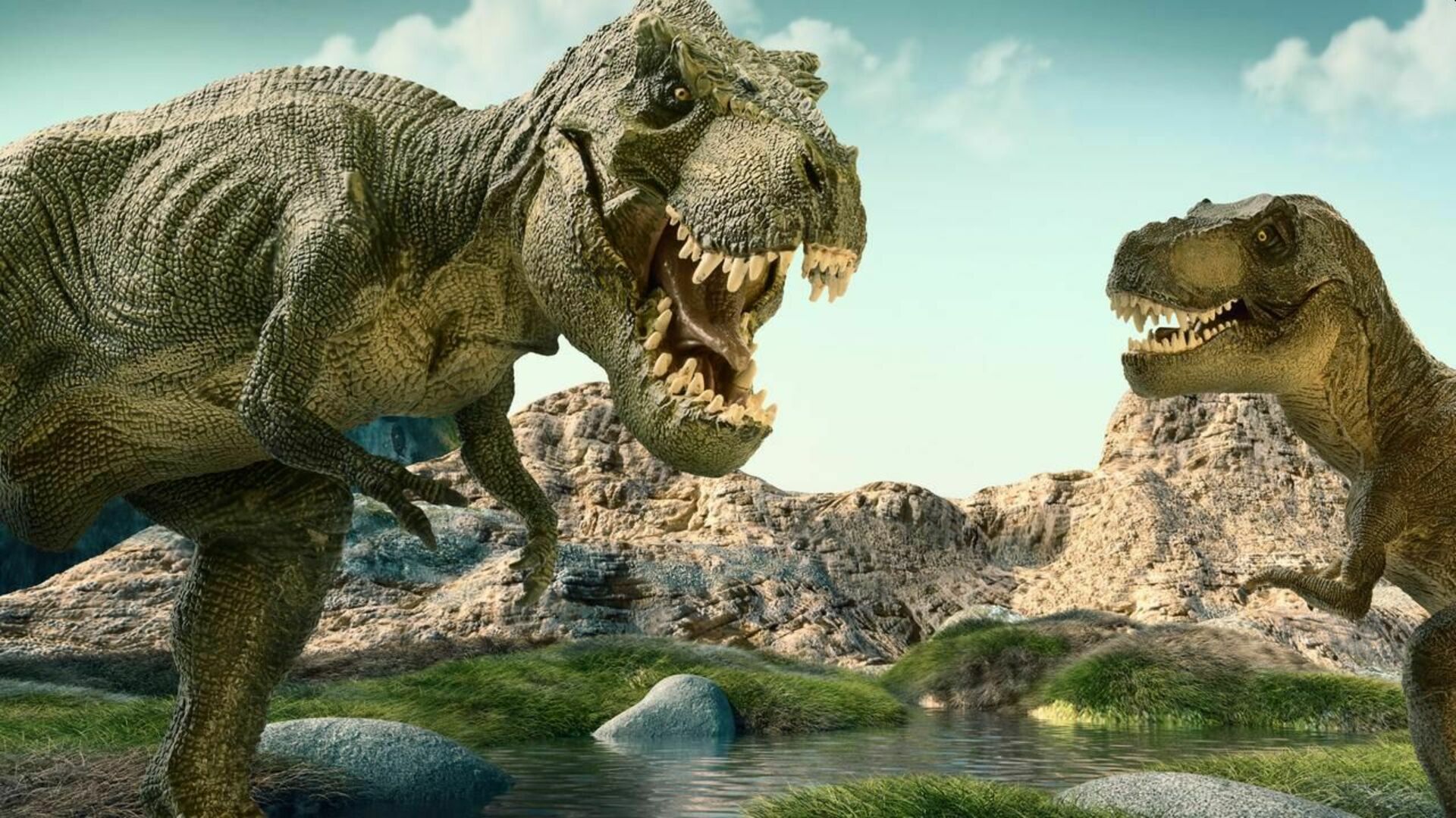 Тирекс король динозавров. Тираннозавр рекс. Тираннозавр рекс Тирекс Тирекс. Динозавр "Тиранозавр рекс". Тиронозавр РЭКС динозавр.