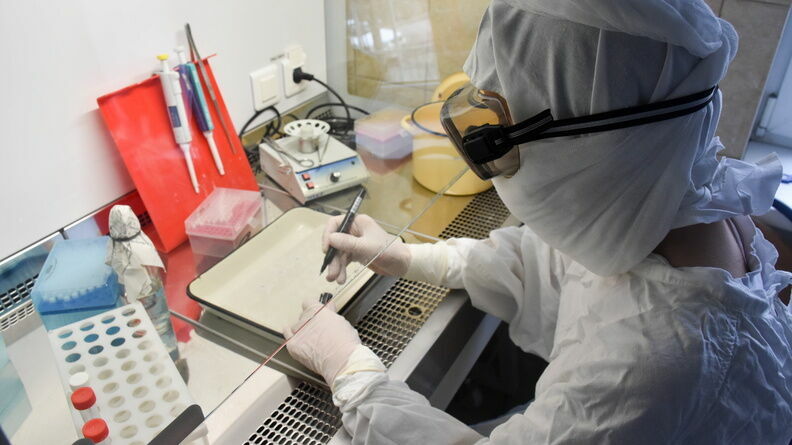 Количество инфицированных коронавирусом в России достигло 42 853 человек