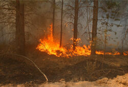 Угроза лесных пожаров в Подмосковье этим летом будет выше, чем в 2010 году