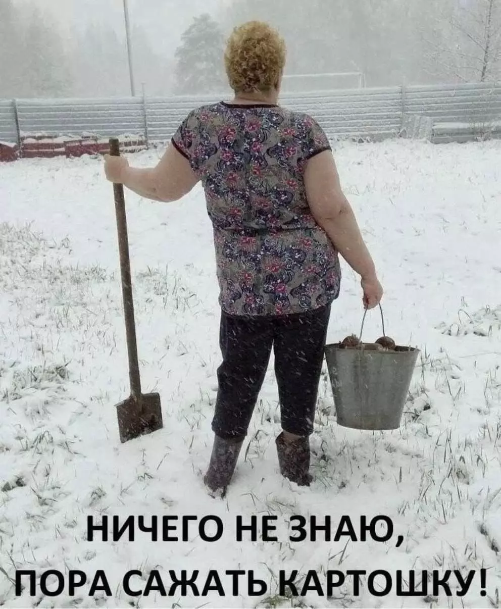 В некоторых регионах России в начале мая впервые за много лет установился снежный покров.
