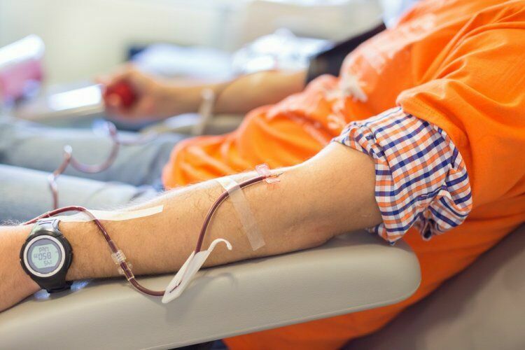 Учёные выяснили, что переливание крови продлевает жизнь
