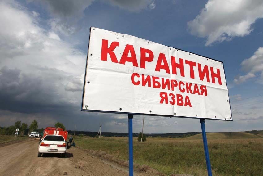 У троих жителей Дагестана подозревают сибирскую язву