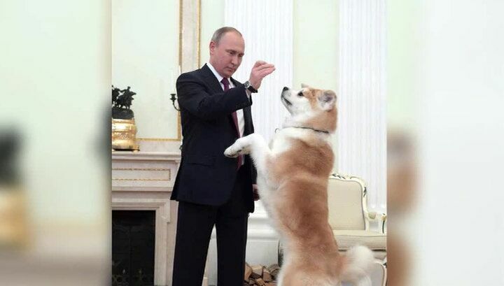 Путин привел свою собаку Юмэ на встречу с японскими журналистами