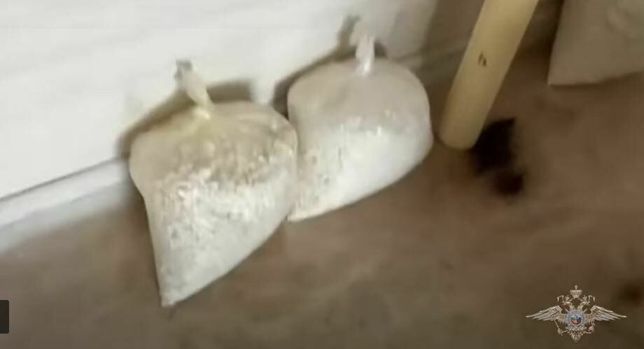 Полицейские в Подмосковье обнаружили подпольную нарколабораторию