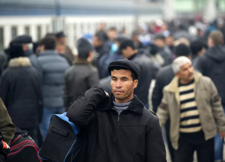 Половина мигрантов покинули Россию в 2020 году