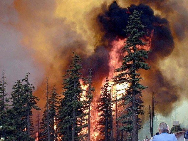 С огнем в лесах Забайкалья будут бороться круглосуточно