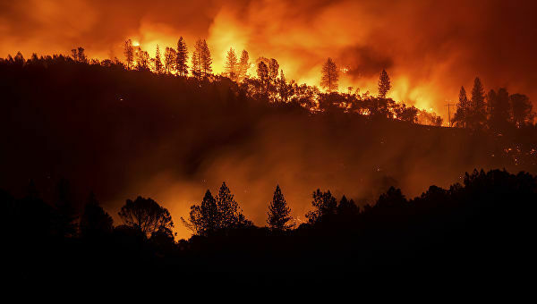 Более 150 лесных пожаров бушует в Якутии