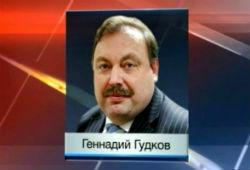 Депутата Гудкова СК обвинил в нарушении Конституции