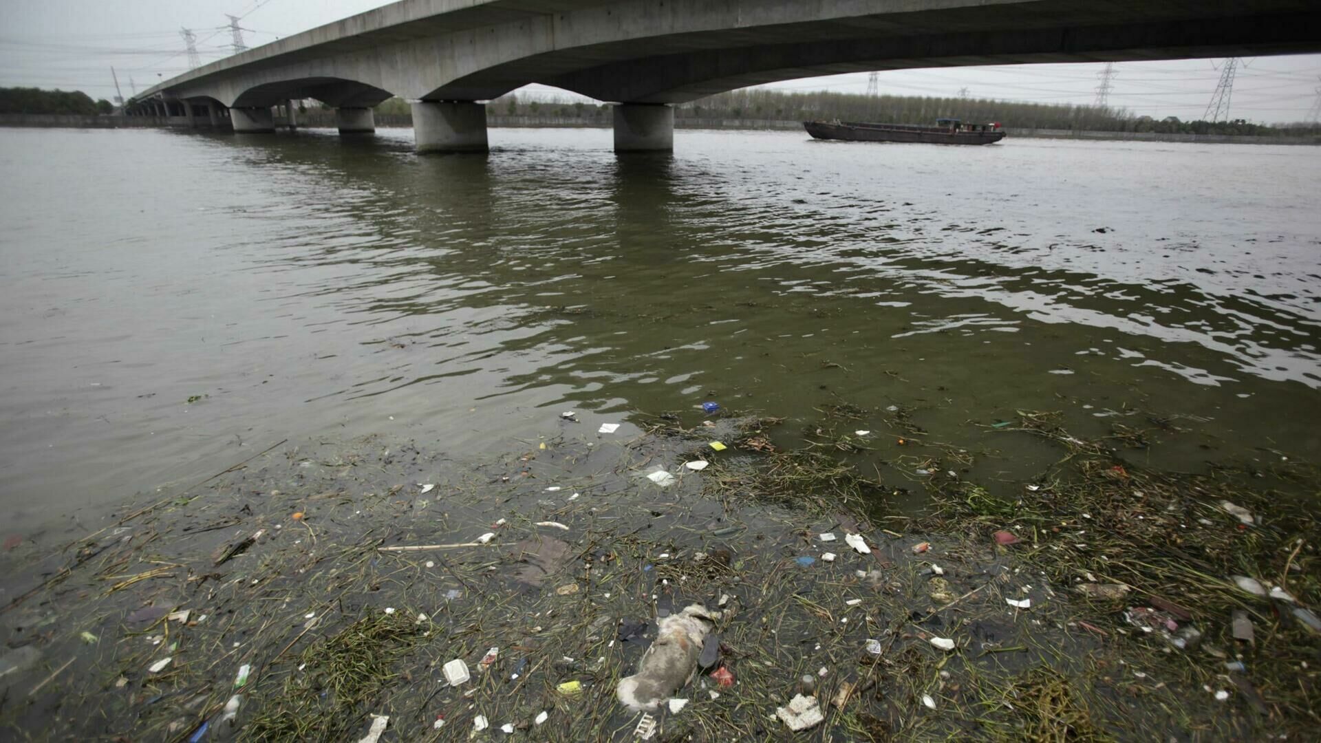 У реки и не напиться: почему вода в России стала опасной для жизни