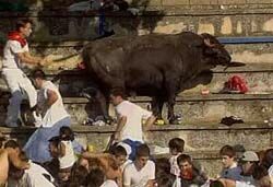 Минимум 40 человек покалечил бык во время шоу в Испании (ВИДЕО)