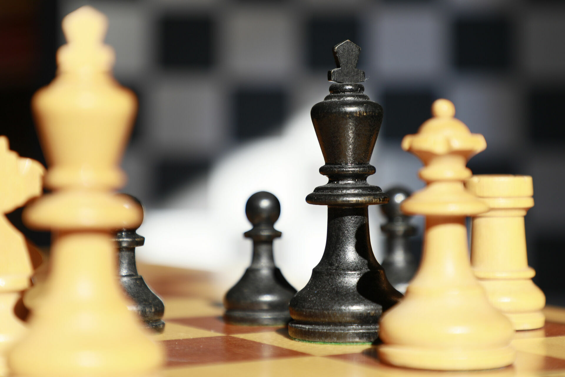 Гроссмейстера из Израиля отстранили за слова, что шахматы не для женщин