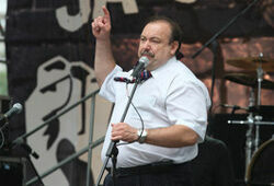 Депутат Гудков попросил единороссов не лишать его мандата
