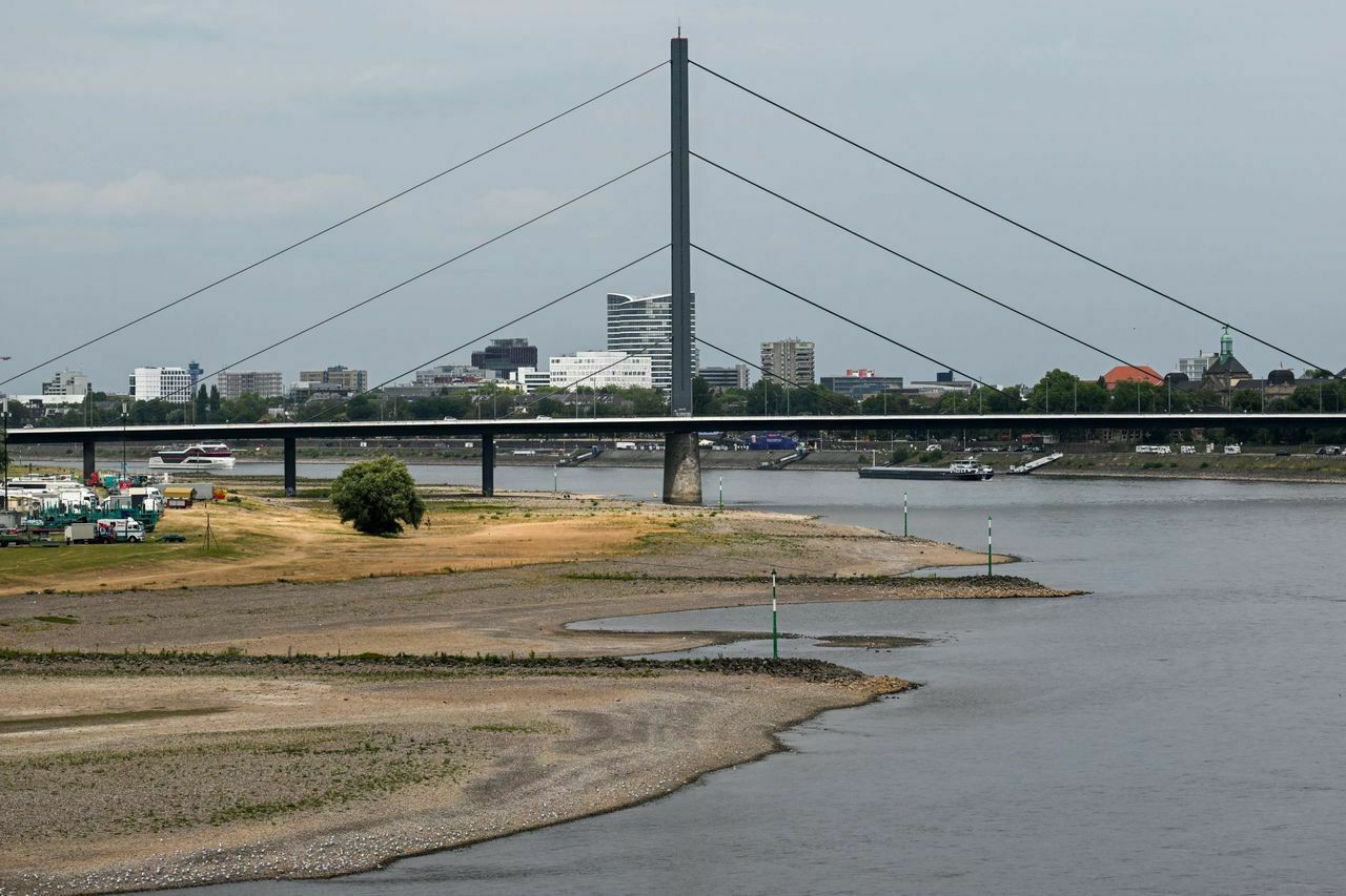Еще и обмеление: Европа несет убытки из-за низкого уровня воды в Рейне