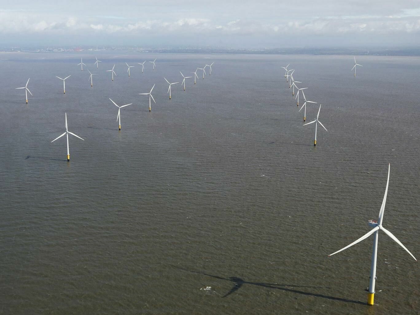 Independent: Одна ветровая ферма в океане обеспечит энергией всю Европу