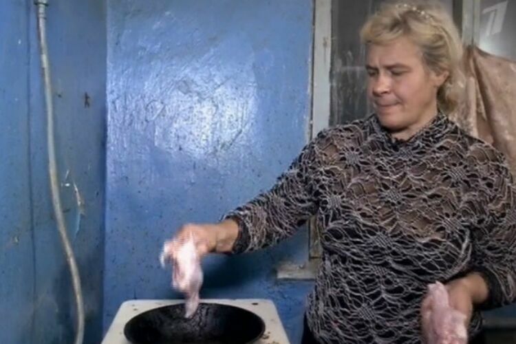 Семья из Волгограда варит супы и жарит котлеты из собак и кошек