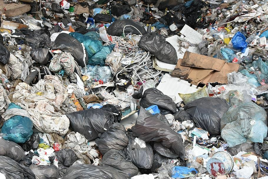 В Подмосковье ликвидировали незаконную мусорную свалку