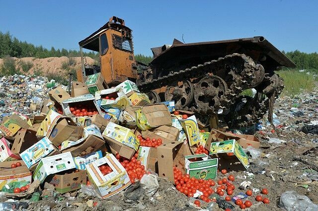 Россия за пять лет уничтожила более 36 тысяч тонн санкционной еды