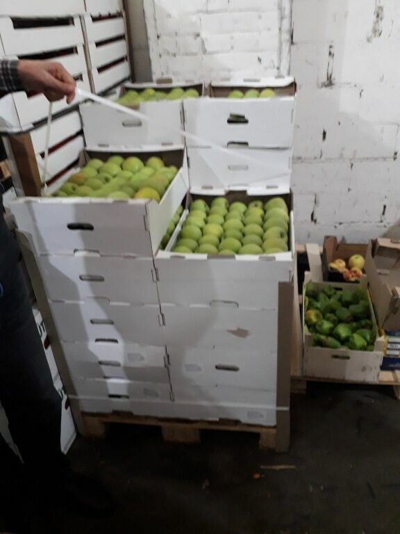 В Удмуртии уничтожили 300 килограммов белорусских яблок
