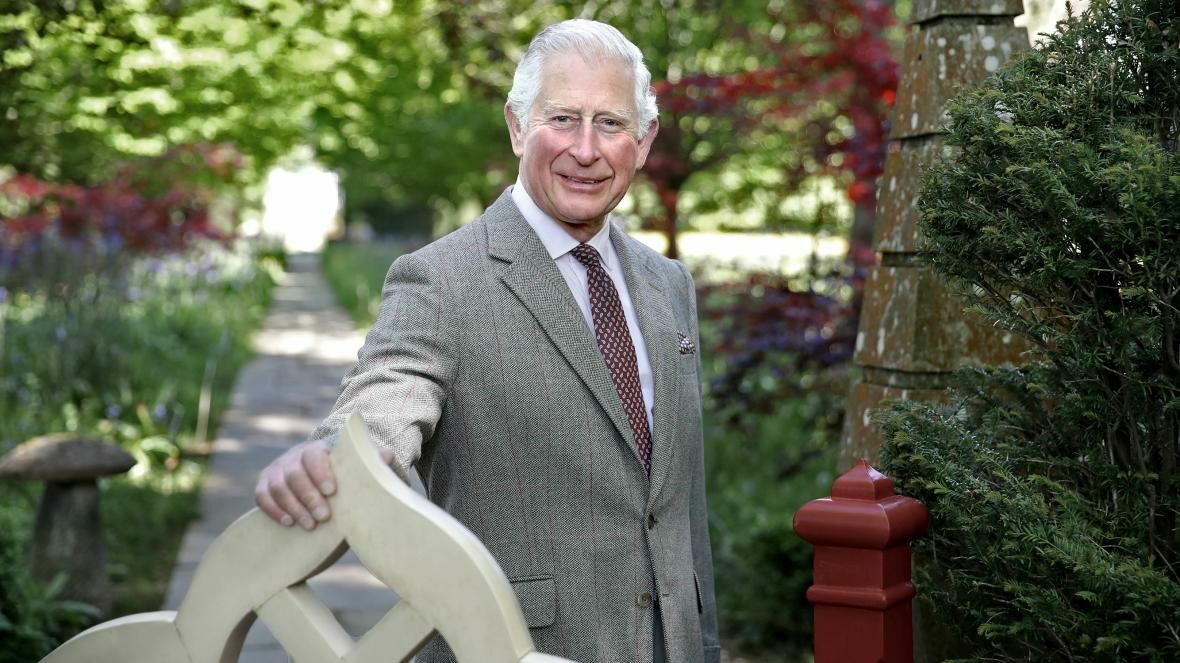 Принц Чарльз выступил за более широкий допуск посетителей в королевские дворцы