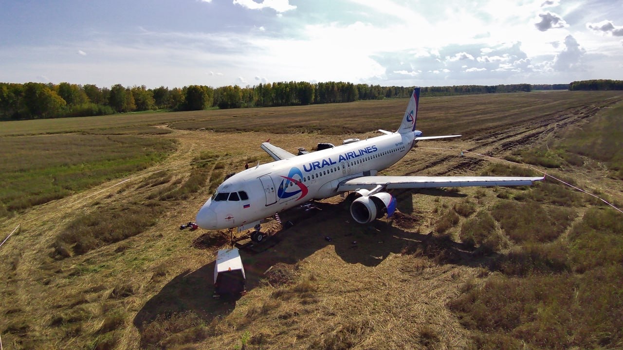 Полежит в поле до весны: «Уральские авиалинии» сообщили, что будет с аварийным Airbus