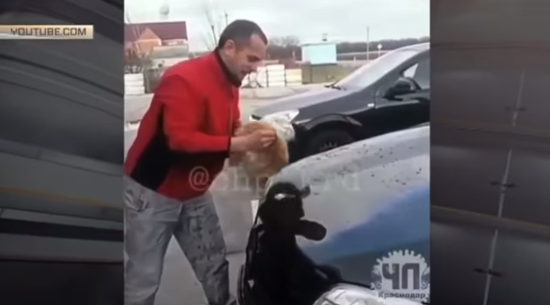 Просто живодёр. Кубанский водитель помыл свой внедорожник живым котом