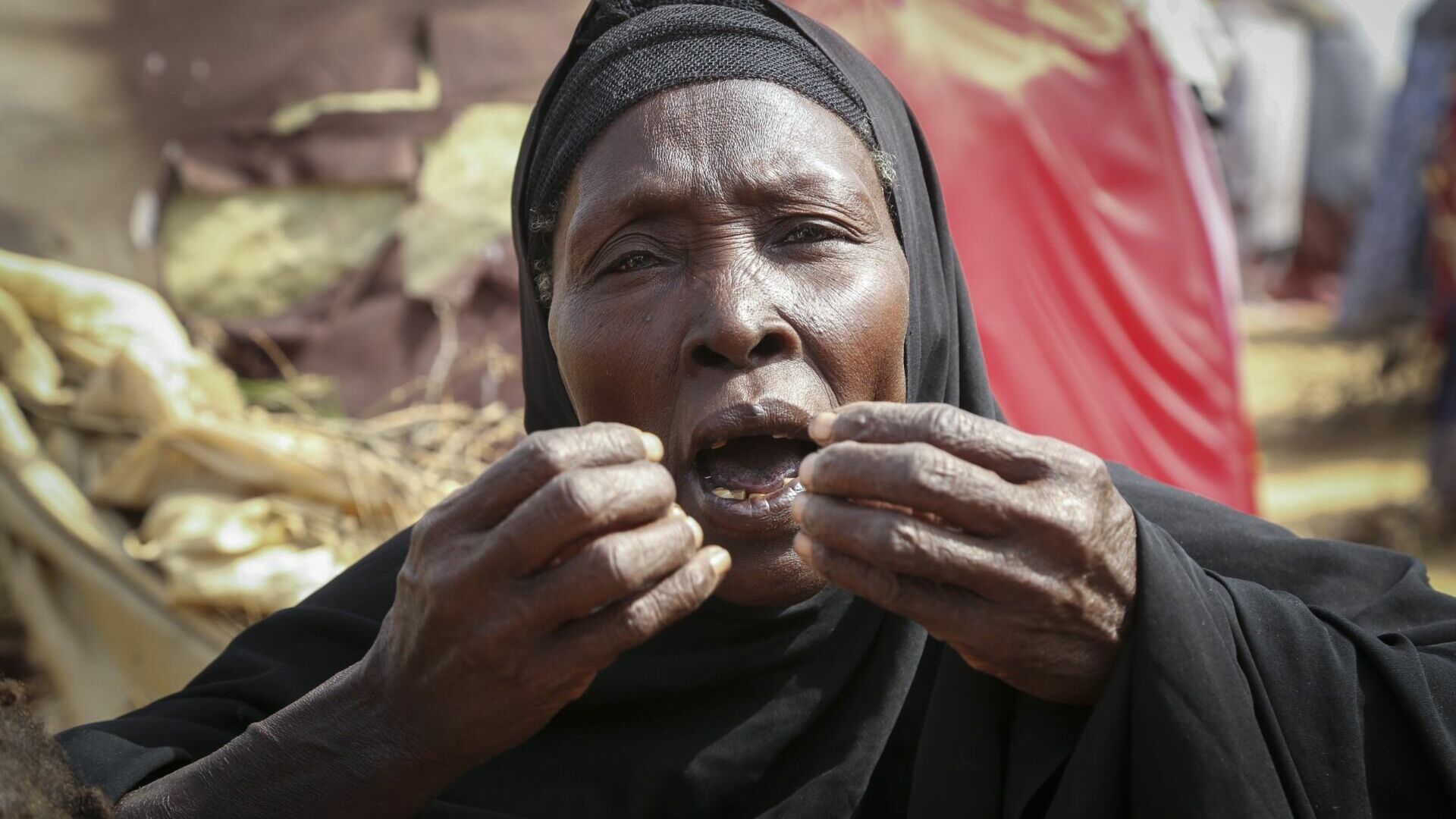 Засуха в Сомали убила 43 000 человек в 2022 году, сообщается в докладе ООН