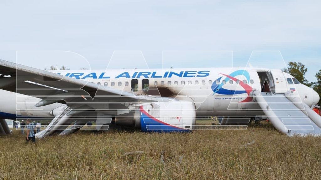 Пассажирам рейса Сочи — Омск выплатят по 100 тысяч рублей из-за посадки в поле