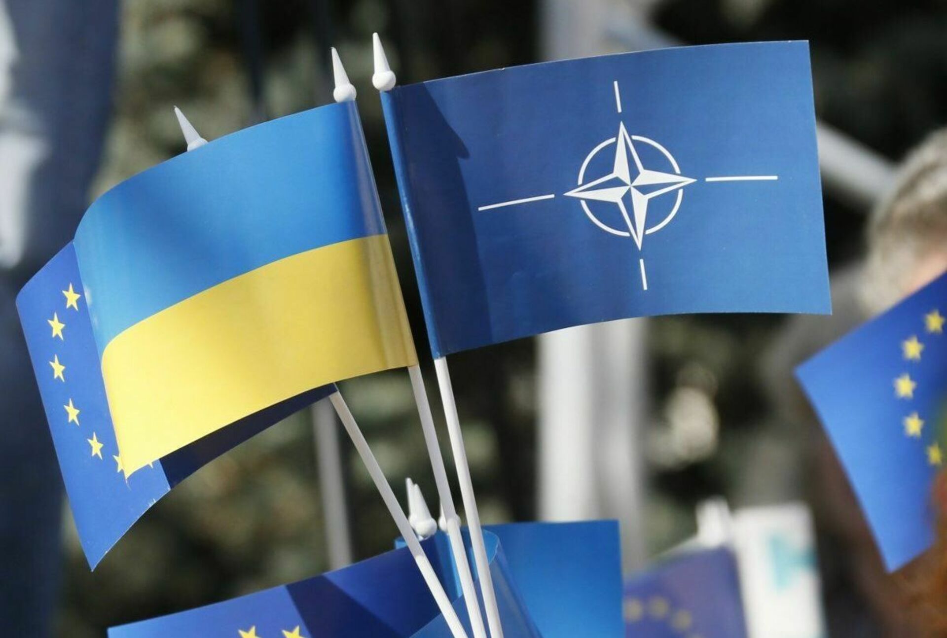Членство украины. Флаг Украины ЕС НАТО. Флаги США Евросоюза НАТО Украины. Флаг украинского НАТО. Флаг Украины,флаг Евросоюза,флаг НАТО.