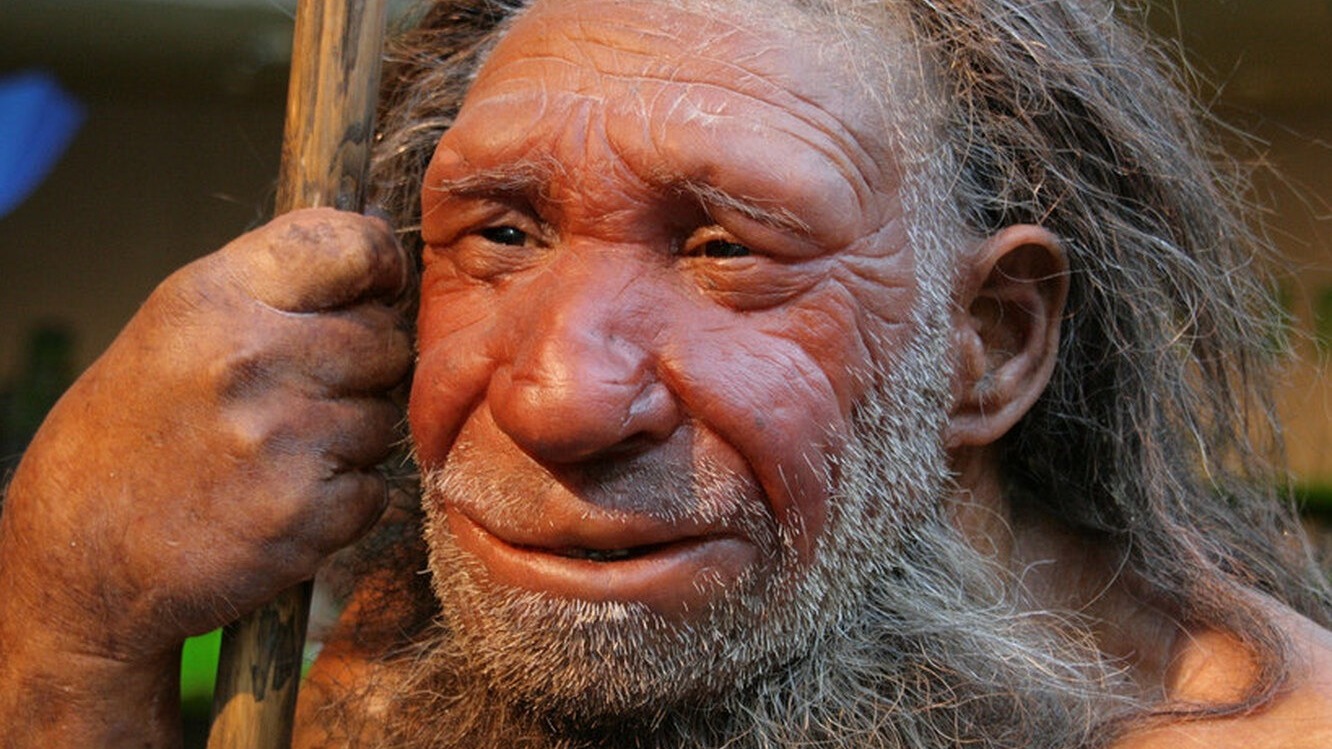 Плохая наследственность: неандертальский ген вдвое увеличивает риск умереть от ковида