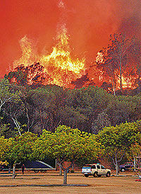 В Голливуде пылают пожары