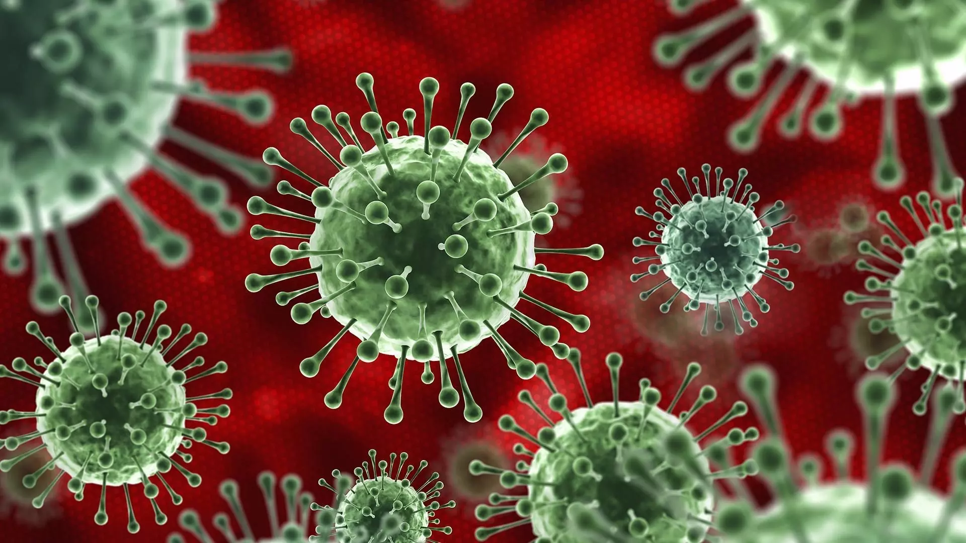 В Россию пришел новый штамм коронавируса: как не заболеть и чем лечиться?
