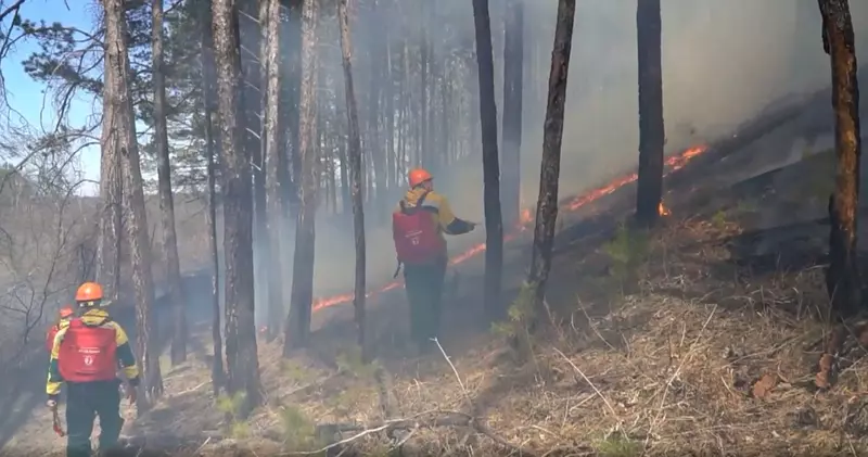 Лесные пожары сразу в нескольких российских регионах: огнем охвачены более 69 тыс га