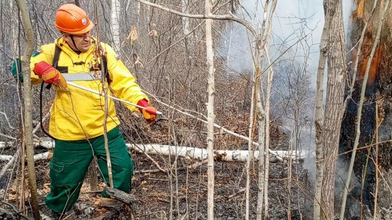 В Амурской области, Еврейской автономии и Хабаровском крае возникло 22 новых лесных пожара.